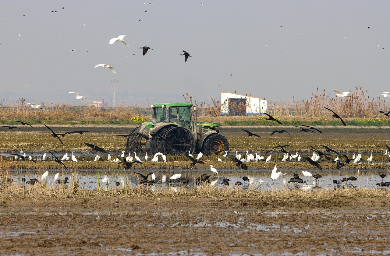 Protecting Biodiversity Through Sustainable Farming Practices